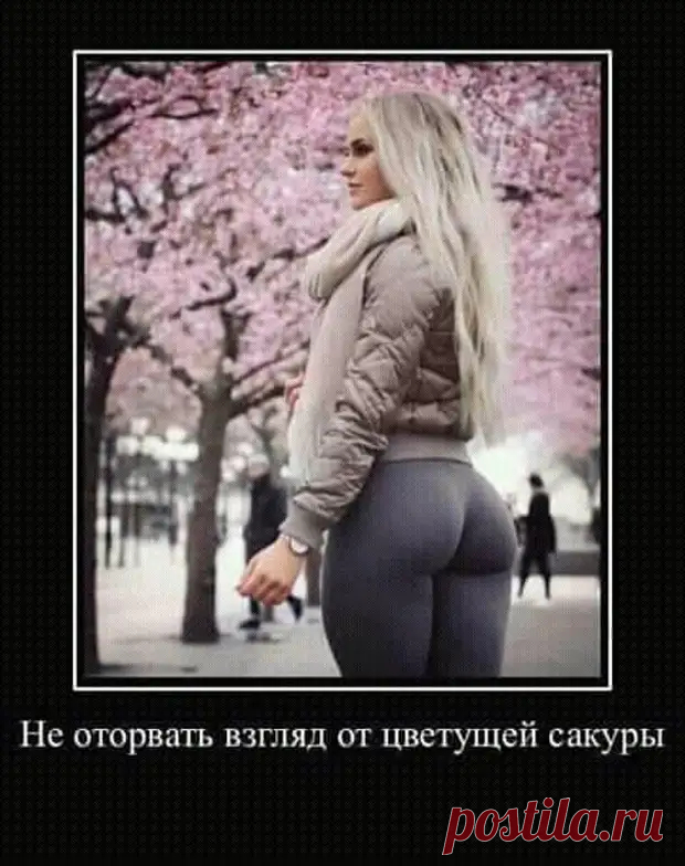 Настоящий питерский интеллигент никогда не скажет, ты — говнюк. Он скажет, непотопляемый Вы человечище - РЖАКА - 3 октября - 43492143381 - Медиаплатформа МирТесен