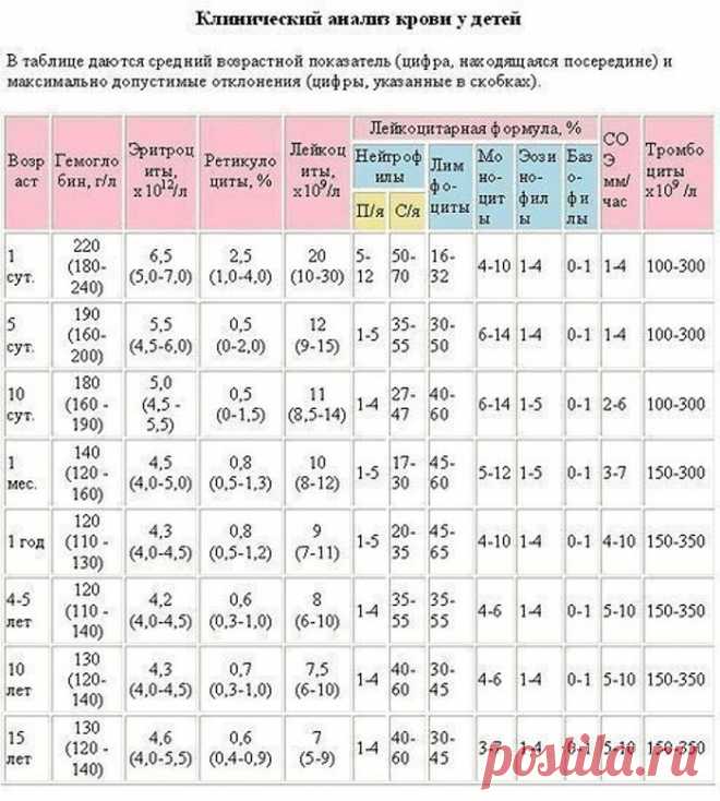 Шпаргалка для мамы: Запомните, напишите себе где-то на видном месте! | Dusea.ru | Первый женский