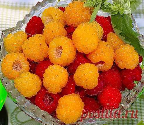А Я ХОЧУ ПОДАРИТЬ МОИМ ДРУЗЬЯМ КУСОЧЕК ЛЕТА УГОЩАЙТЕСЬ!!!.