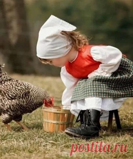 Радость идёт против основ математики.
Она умножается, когда мы делимся...
Пауло Коэльо