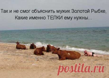 Юмор в картинках с надписями