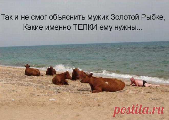 Юмор в картинках с надписями