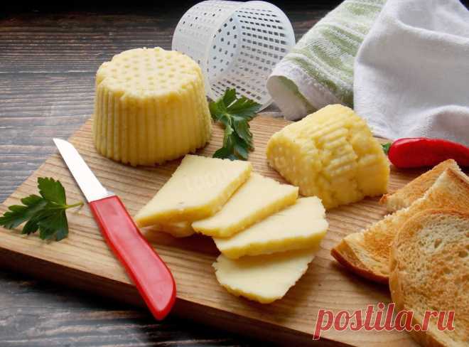 Домашний сыр из творога и молока рецепт с фото пошагово - 1000.menu