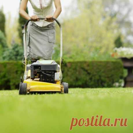 Газонокосилки бензиновые самоходные: рейтинг лучших моделей 2015 года