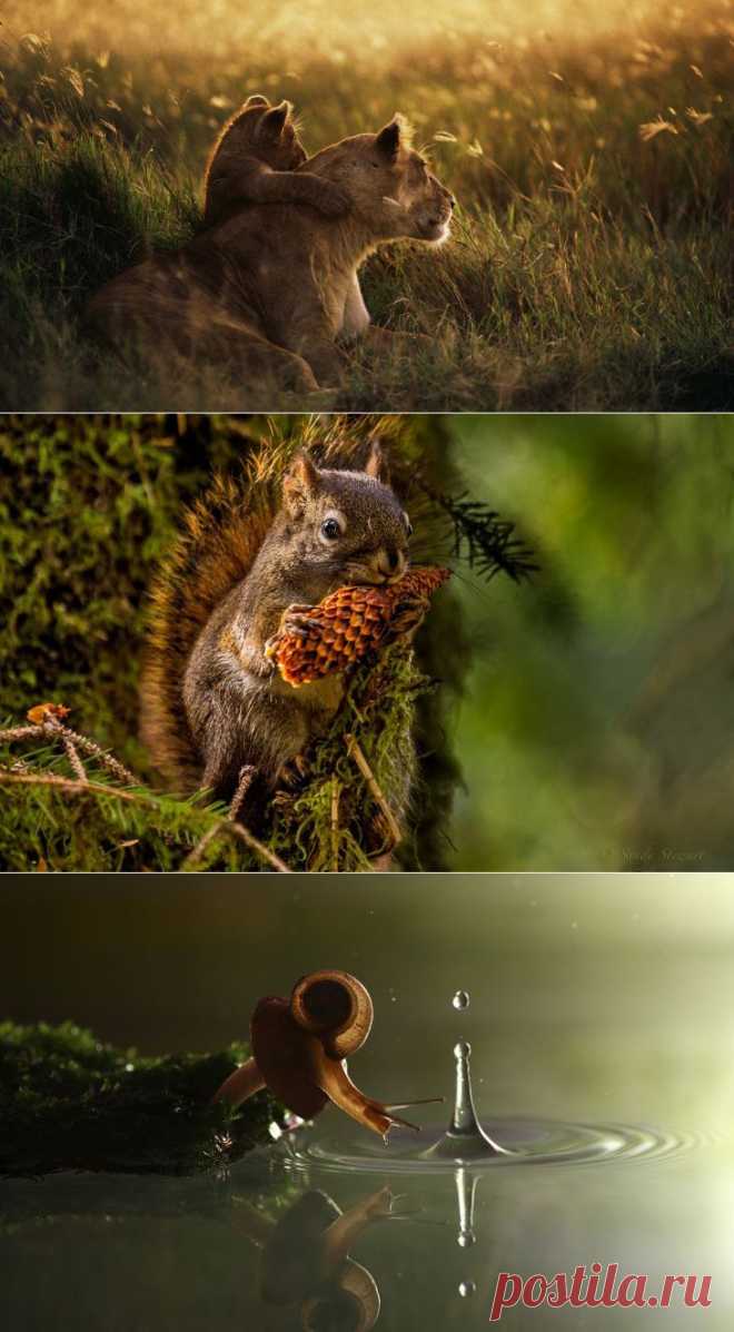 Большие обои на рабочий стол микс (22 фото) » RadioNetPlus.ru развлекательный портал