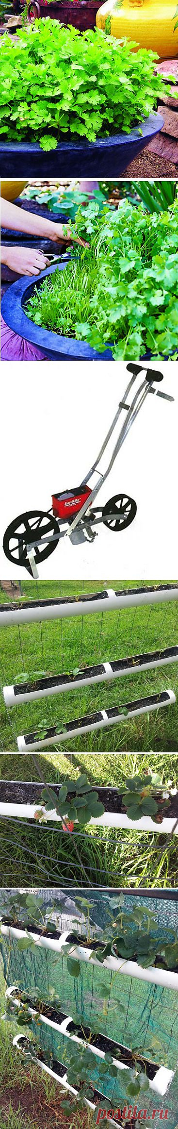 Советы огородникам и садоводам.