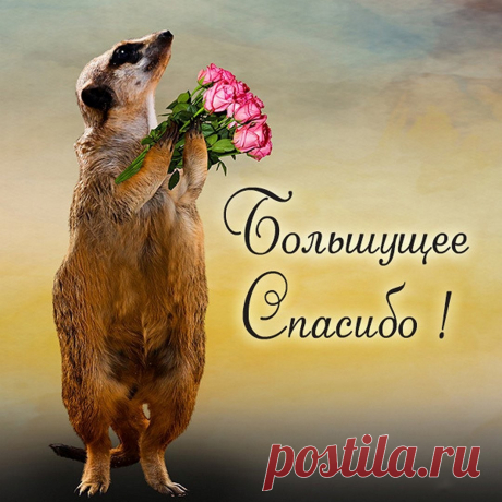 Большущее СПАСИБО!