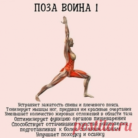 5 простых поз, которые вернут вашему телу тонус!