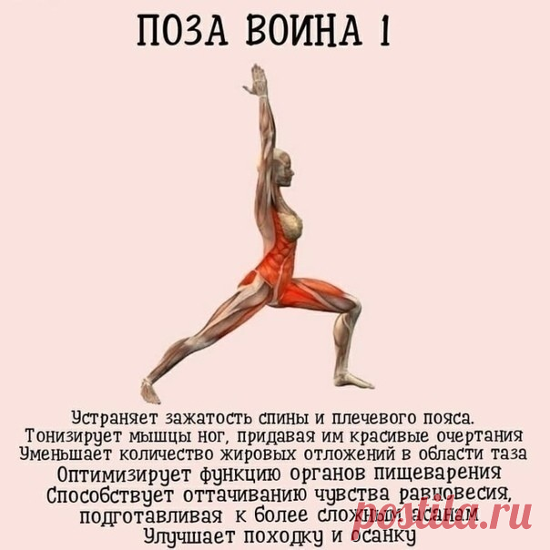 5 простых поз, которые вернут вашему телу тонус!