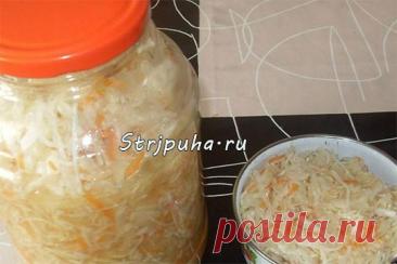 Капуста салатная — Готовим дома