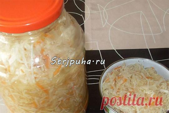 Капуста салатная — Готовим дома