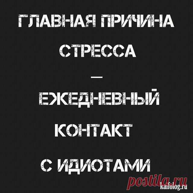(34) Facebook
