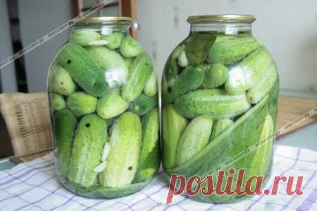 Маринованные огурцы пошаговый рецепт с фото