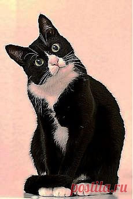 Меня зовут Василий, приятно познакомиться