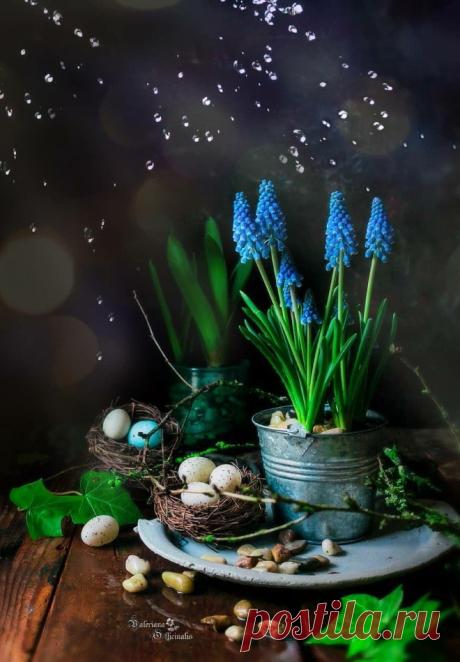 Ideas & Decor