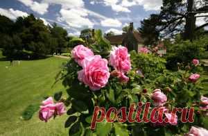 Сельская красота графства Кент, Англия