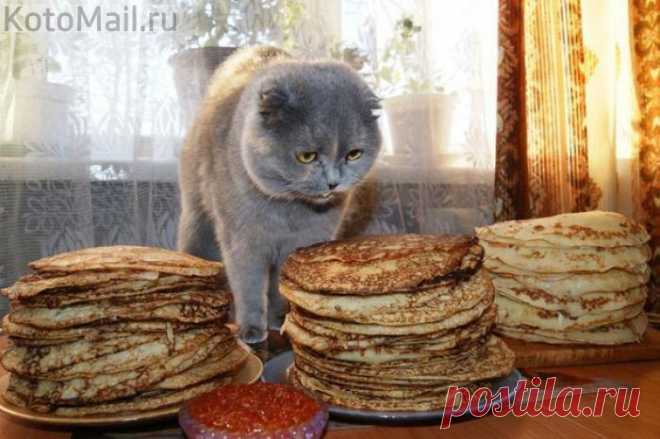Этих блинов хватит, чтобы год вспоминать Масленицу!