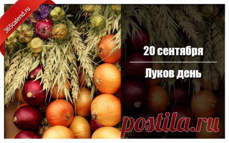 Девушки заплетали луковицы в косы, моля святого Луку о красоте и крепости волос.