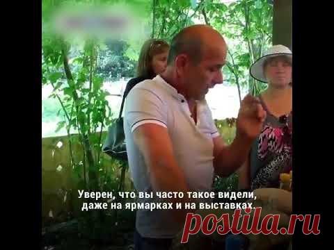 Как отличить настоящий мёд от поддельного!?