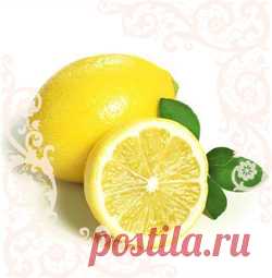 Лимон для похудения — 4 эффективных рецепта . Милая Я