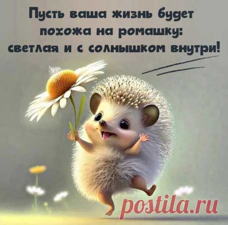 Не грустите, не болейте,
Ни о чем не сожалейте.
Верьте в чудо и в успех
И живите лучше всех!