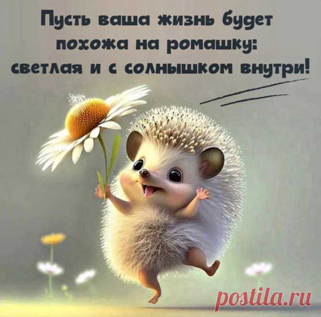 Не грустите, не болейте,
Ни о чем не сожалейте.
Верьте в чудо и в успех
И живите лучше всех!