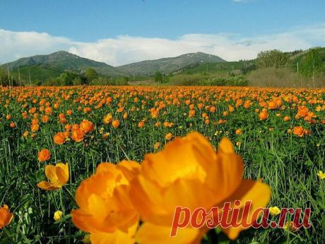 Владимир Дикарев
55 лет, Казахстан, Усть-Каменогорск
все его фото