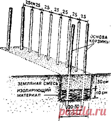 Помидоры в «корзинке»