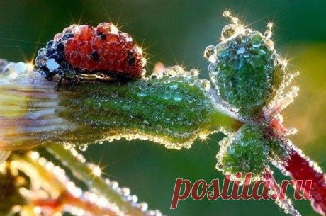 Фотографии на стене сообщества | 8 957 фотографий | ВКонтакте