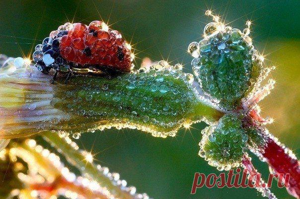 Фотографии на стене сообщества | 8 957 фотографий | ВКонтакте