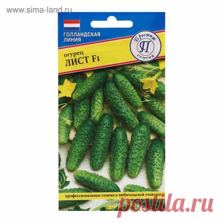 Нежный гибрид живокости, очень вкусный, тонкокожий и очень ароматный. Из той же "птичьей" серии, что и некогда популярный салатный огурец "Журавлик". Листья