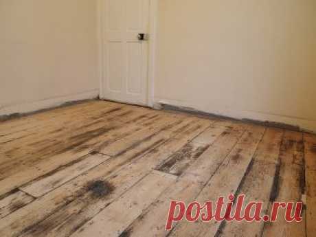 Укладка линолеума на деревянный пол – устройство надежного покрытия 
 
Строительный рынок располагает немалым количеством новейших технологий по оформлению основания пола декоративными покрытиями. Среди них линолеум является, пожалуй, самым востребованным и пользующимся спросом материалом. Даже рядовому человеку не составит большого труда выполнить самостоятельно такую операцию, как укладка линолеума на деревянный пол. Но, как и в каждом новом деле, здесь есть свои секреты, о которых необходимо