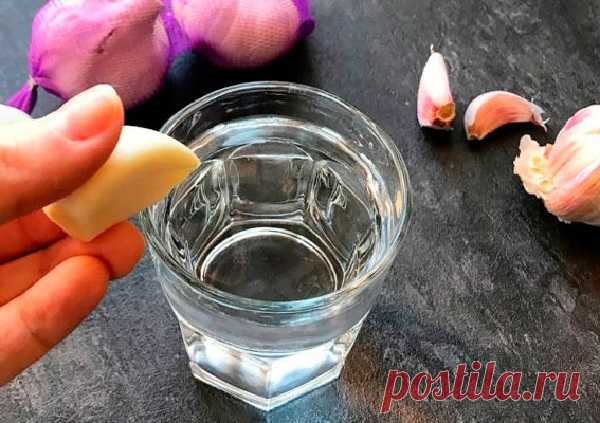 ЧЕСНОЧНАЯ ВОДА — ЧТО БУДЕТ ЕСЛИ ВЫПИВАТЬ ВСЕГО 1 СТАКАН В ДЕНЬ И КАК ЕЁ ПРИГОТОВИТЬ — Домашние заботы