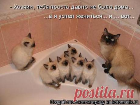 Тебя давно не было