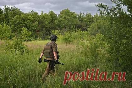 Комбат прошел три километра под огнем ВСУ с ящиком лимонада и курами-гриль для бойцов