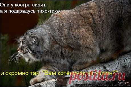 Любаня — «rz.jpg» на Яндекс.Фотках