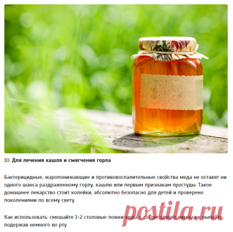 Варианты применения мёда — Делимся советами