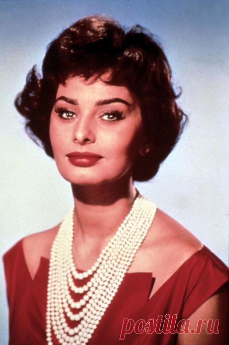 К 85-летию Софи Лорен: 100 кадров с великой дивой - Кино Mail.ru