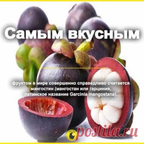 Сногсшибательные факты - Главная