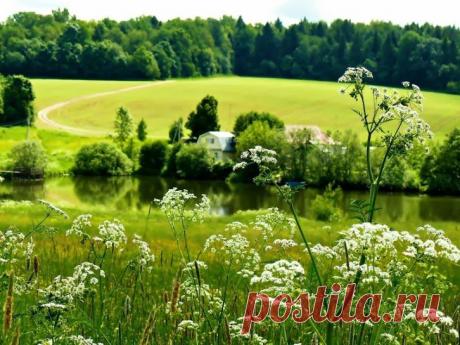 времена года