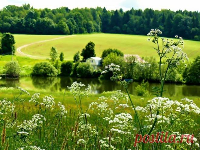 времена года