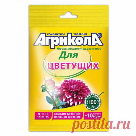 Август - время удобрить пион ⚡. Всего полчаса и одна подкормка - и ждите пышное цветение шапками в следующем году | Секреты сада и дачи | Яндекс Дзен