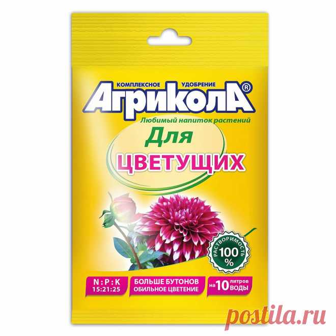 Август - время удобрить пион ⚡. Всего полчаса и одна подкормка - и ждите пышное цветение шапками в следующем году | Секреты сада и дачи | Яндекс Дзен
