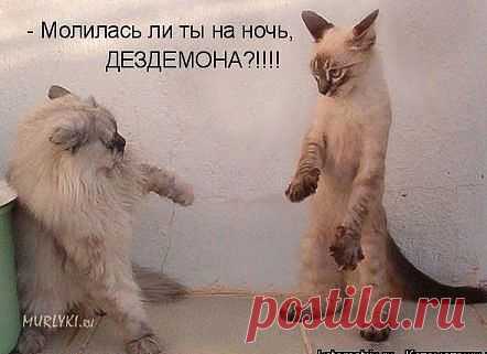 Одноклассники