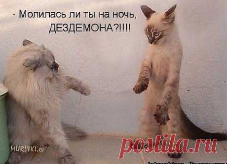 Одноклассники