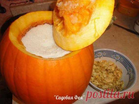 Лечение 