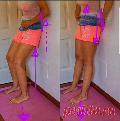 Движение таза, которое поможет убрать прогиб в пояснице. | Йога для жизни. | Яндекс Дзен