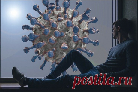 Как оставаться здоровым в условиях пандемии?
Всем привет! Коронавирус! От одного этого слова уже мутит внутри. Столько нервов потрепали нам события 2020 года, что скорее уже хочется наступление Нового года. Очень верю в то, что 2021 год, будет сильно отличаться от этого, високосного и недоброжелательного года. К сожалению, сегодня все больше людей продолжают заболевать, и ситуация становится еще сложнее весеннего периода […]
Читай пост далее на сайте. Жми ⏫ссылку выше