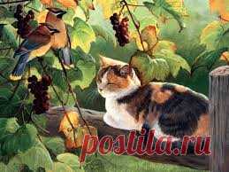birds-country-chickens-f1-hen-painting-rooster-bird-animal-avian-art-artwork-wide-screen-chicks-full-hd-animal-wallpapers.jpg