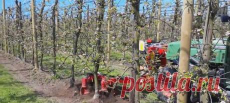 Георгий Тимофеев